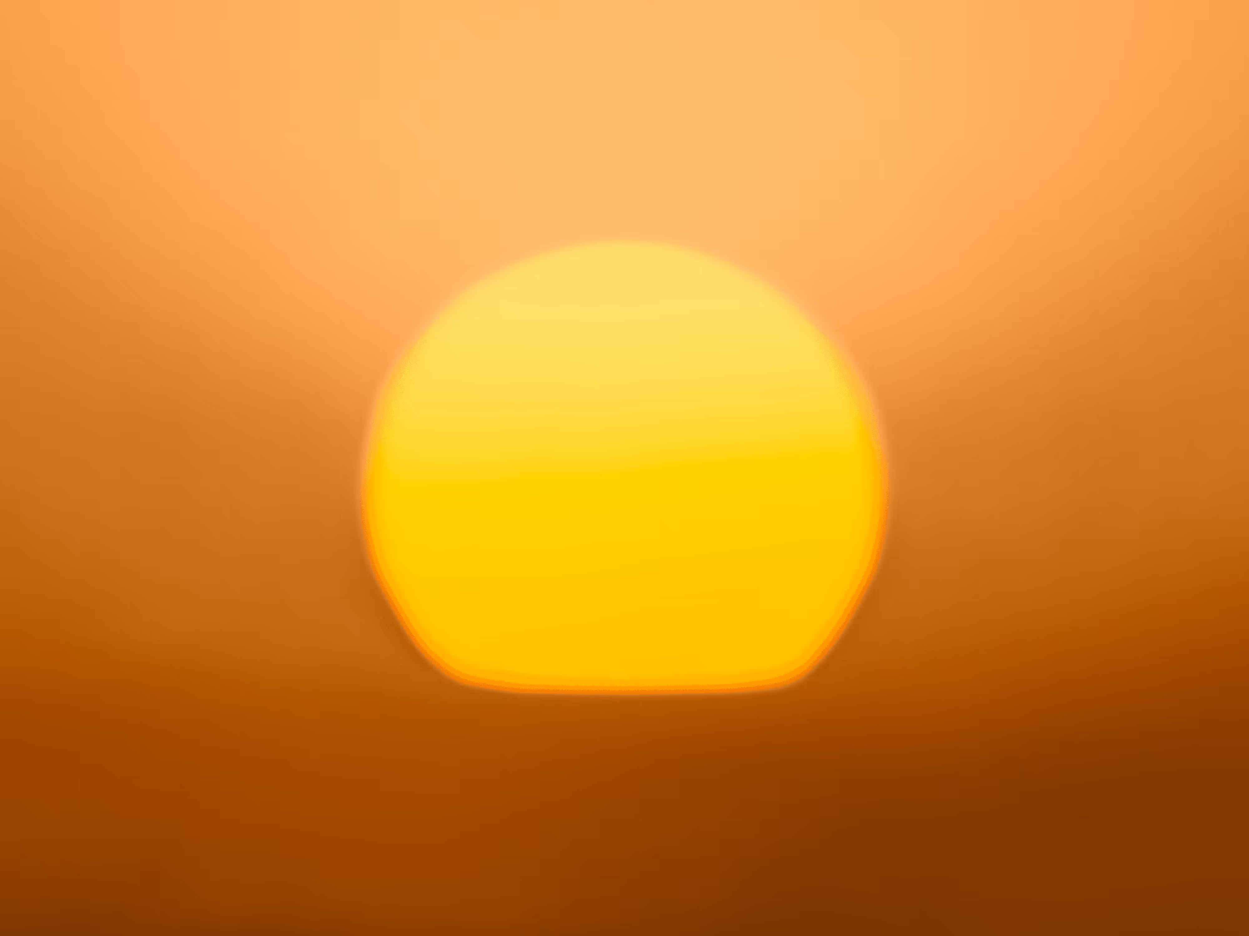GM Sunshine No36