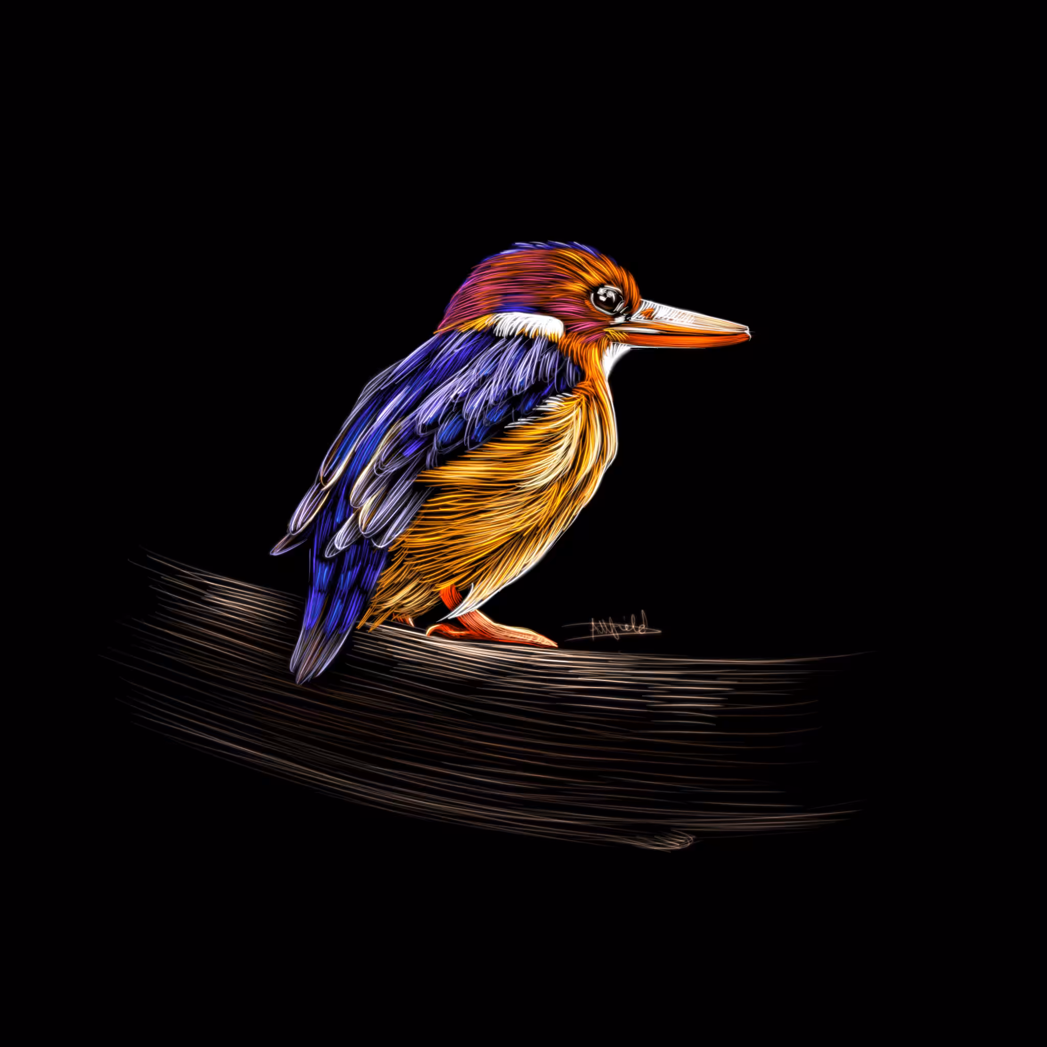 Kingfisher