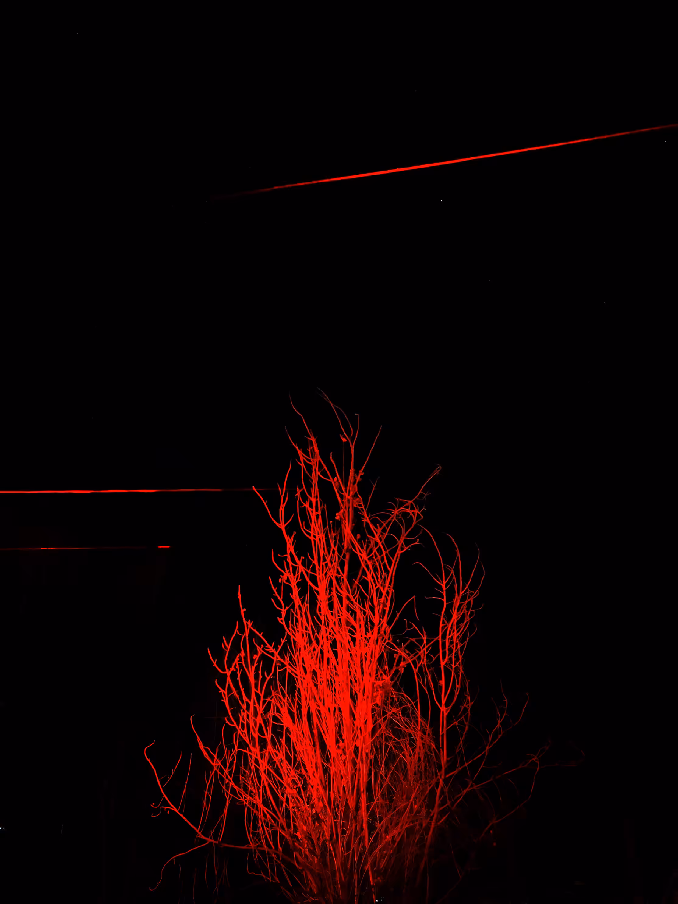 The Wailing II
