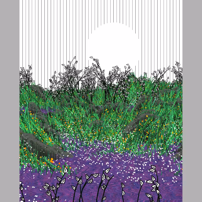 Contours #17