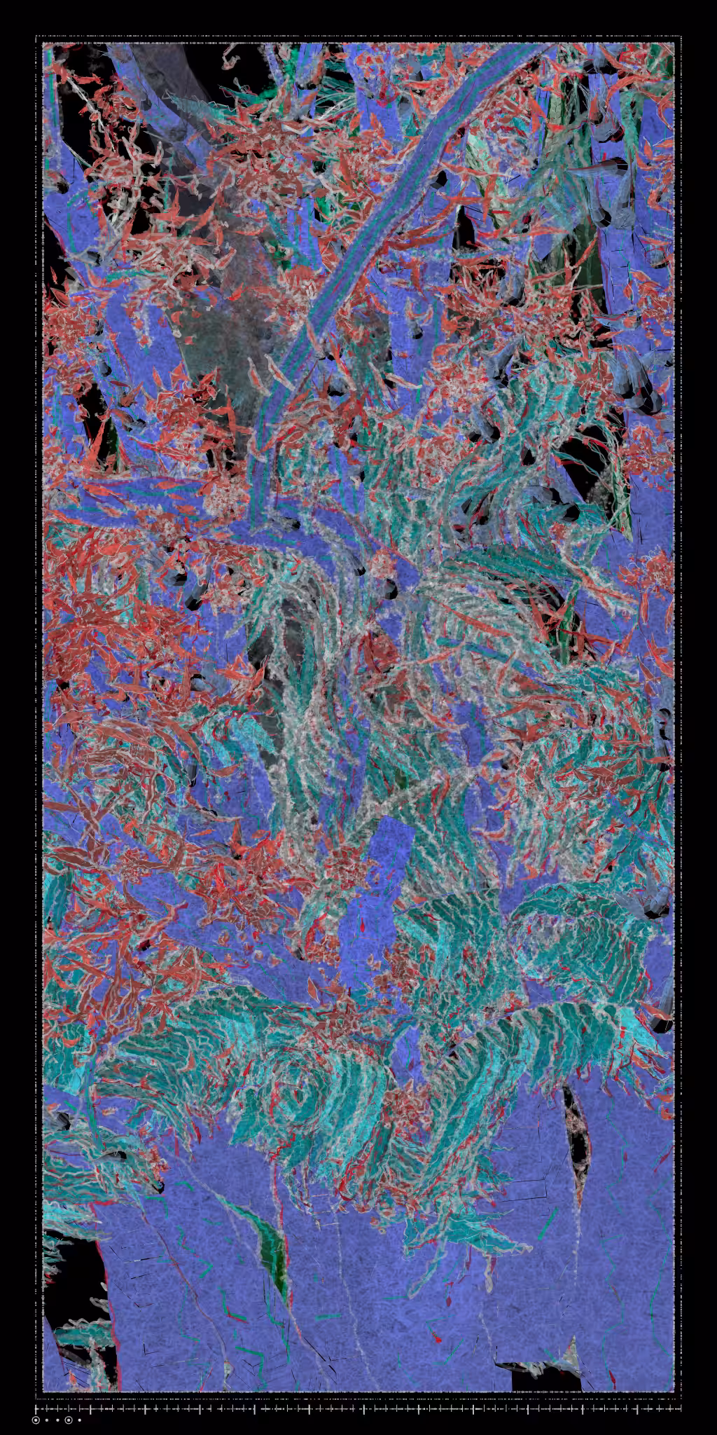 Polypaths | 植徑集 #547