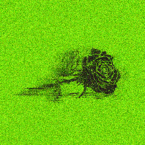 Roses are Dead: Green