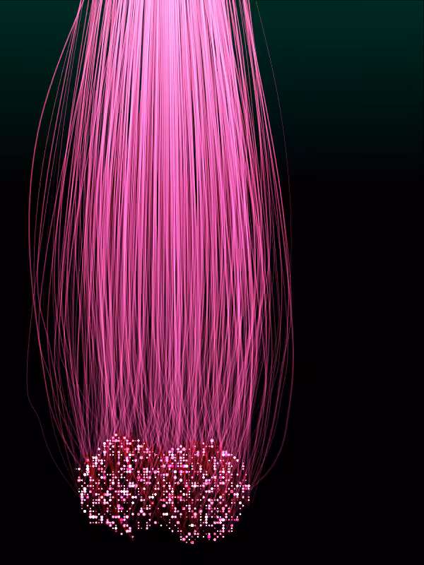 Jellyfish #54