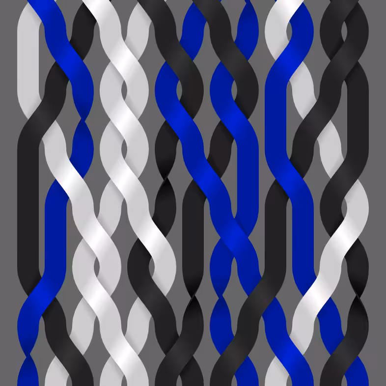 Endless Braids #13