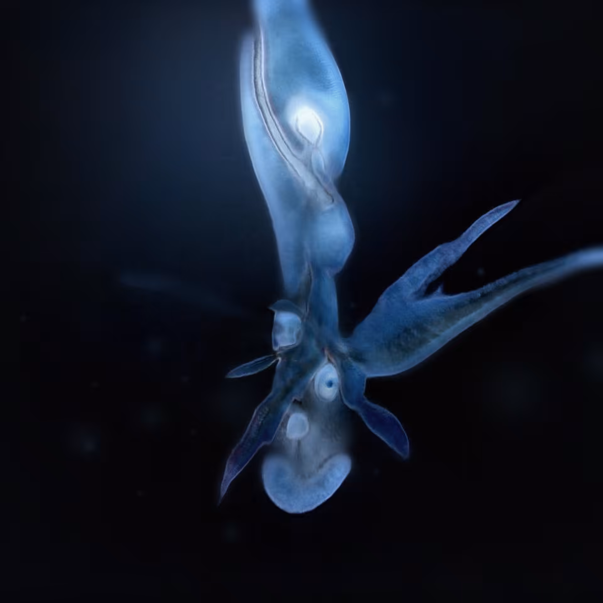 Sperma 63