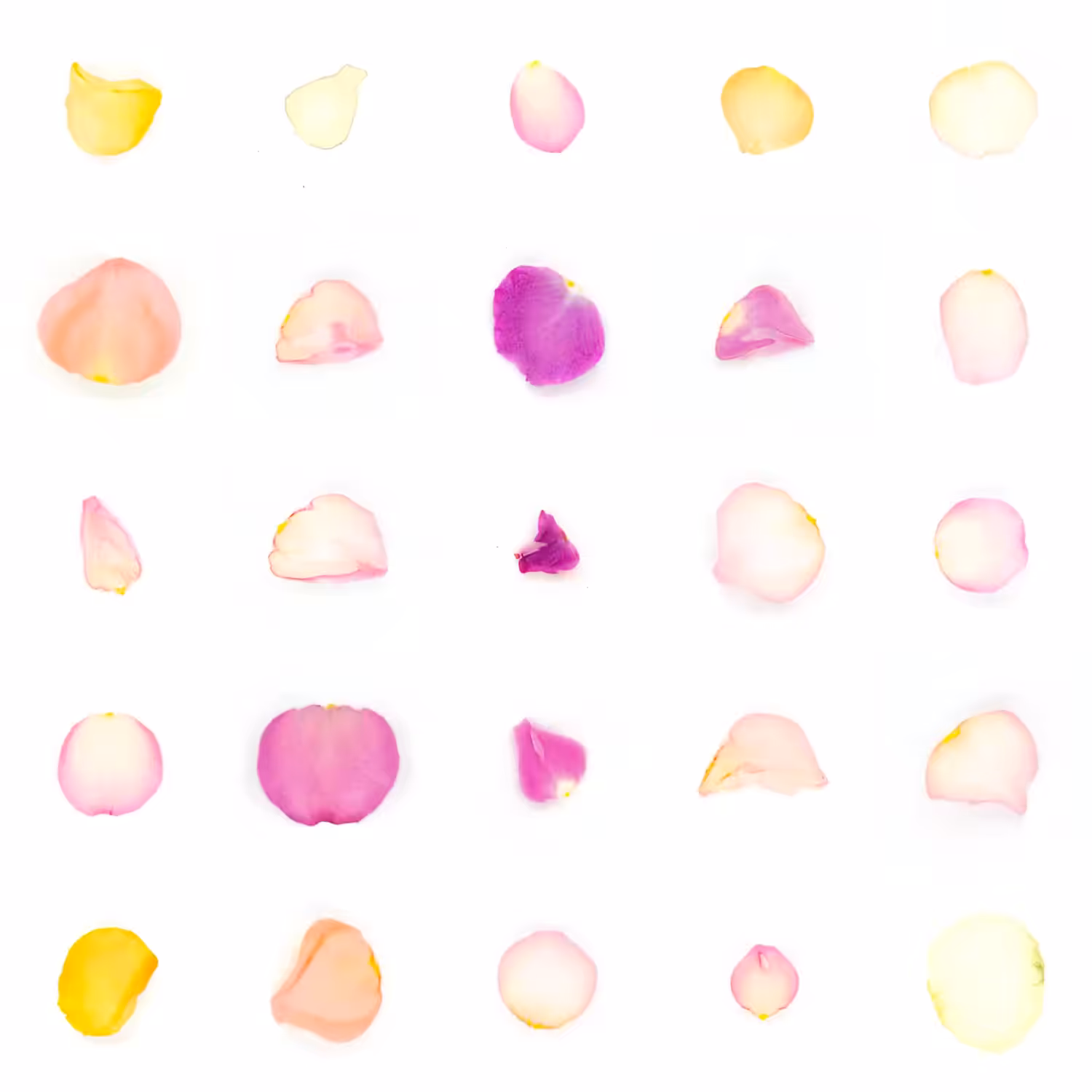 Infinite Petals 5x5#21478