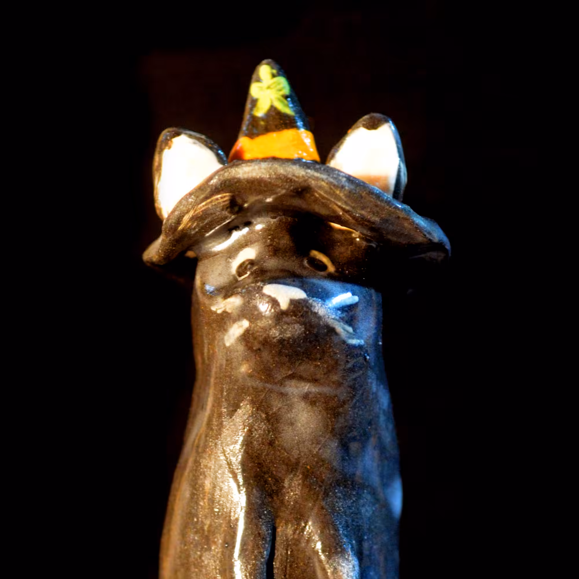 pfpup#0040
