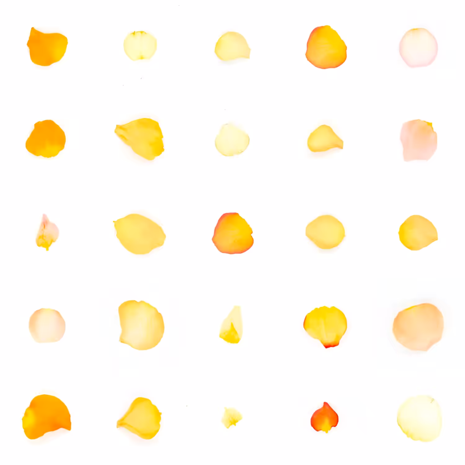 Infinite Petals 5x5#21535