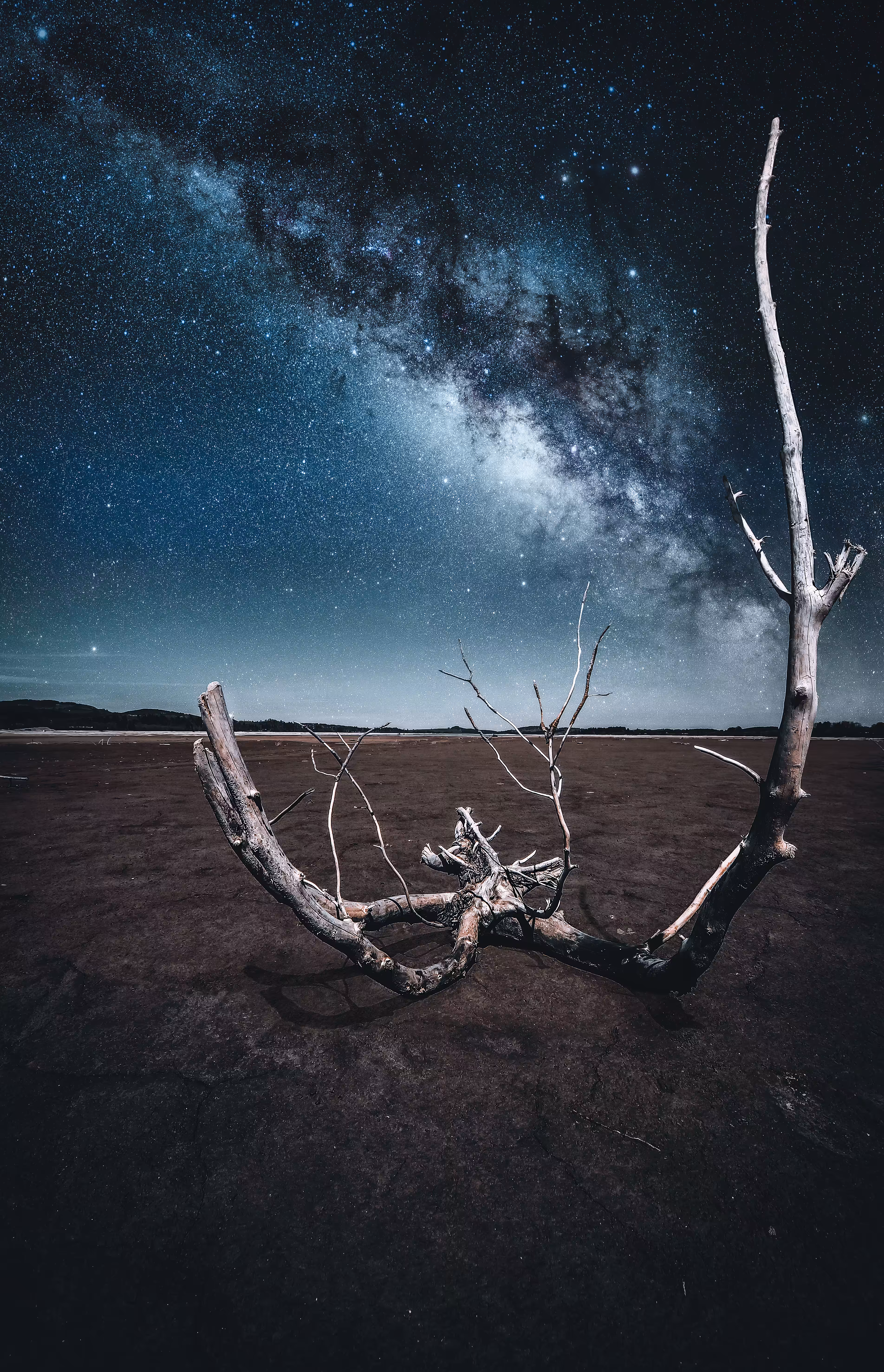 Desert Nights