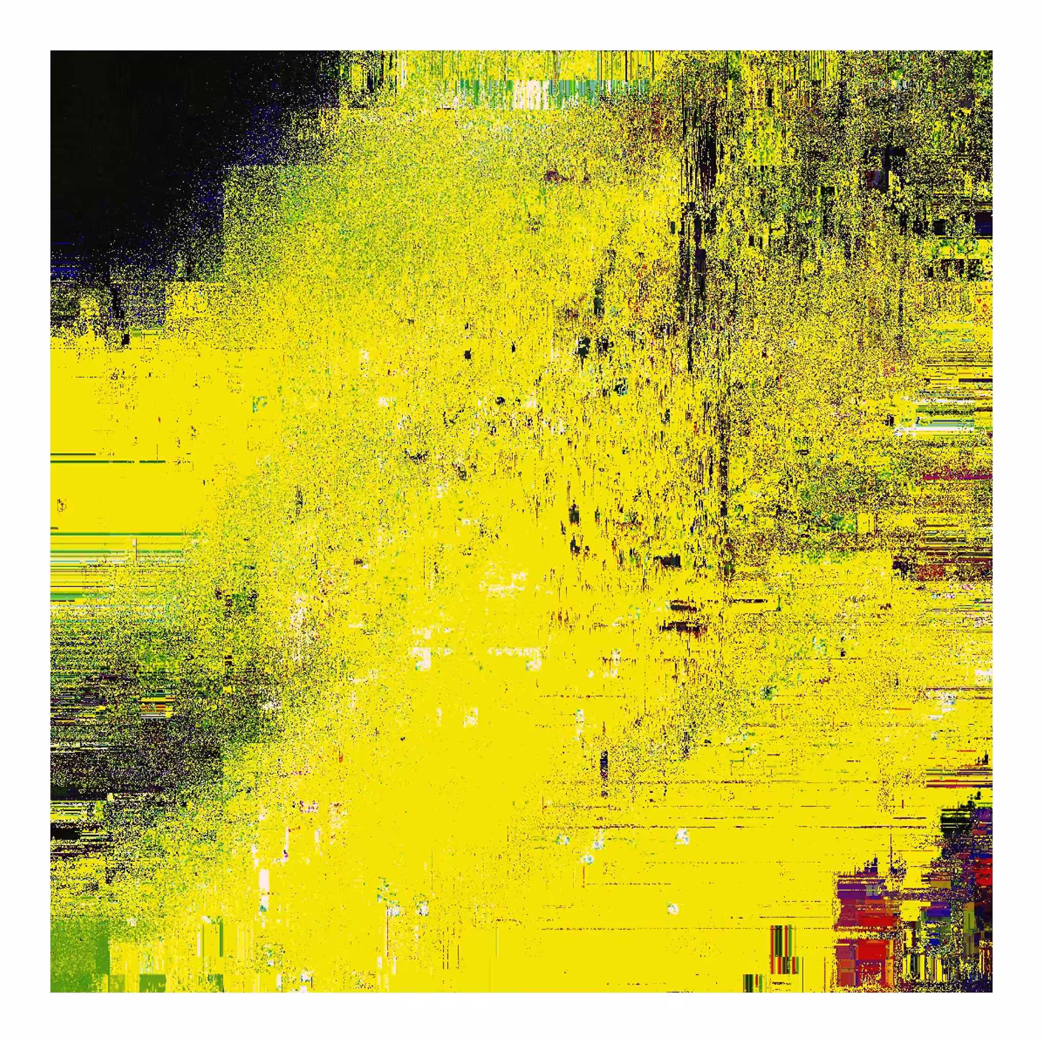 Y009