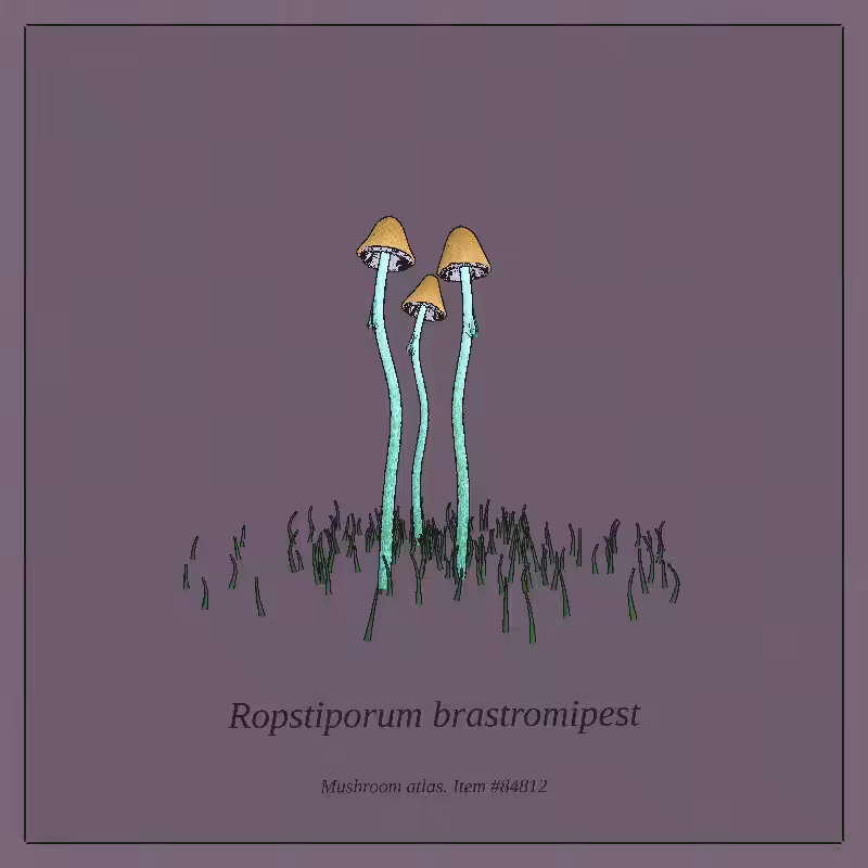 Mushroom Atlas #22