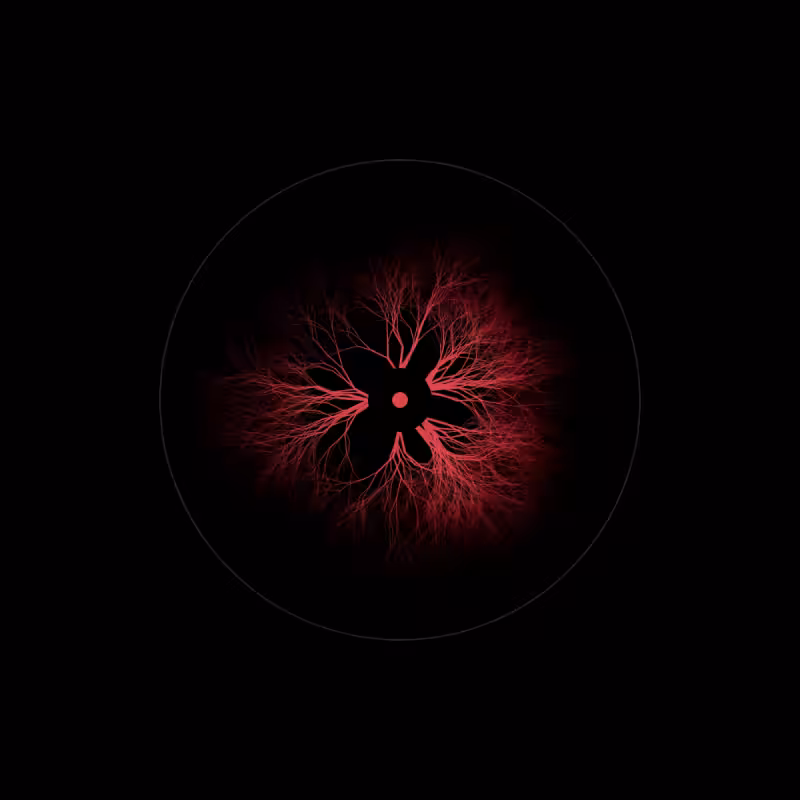 EYE #27