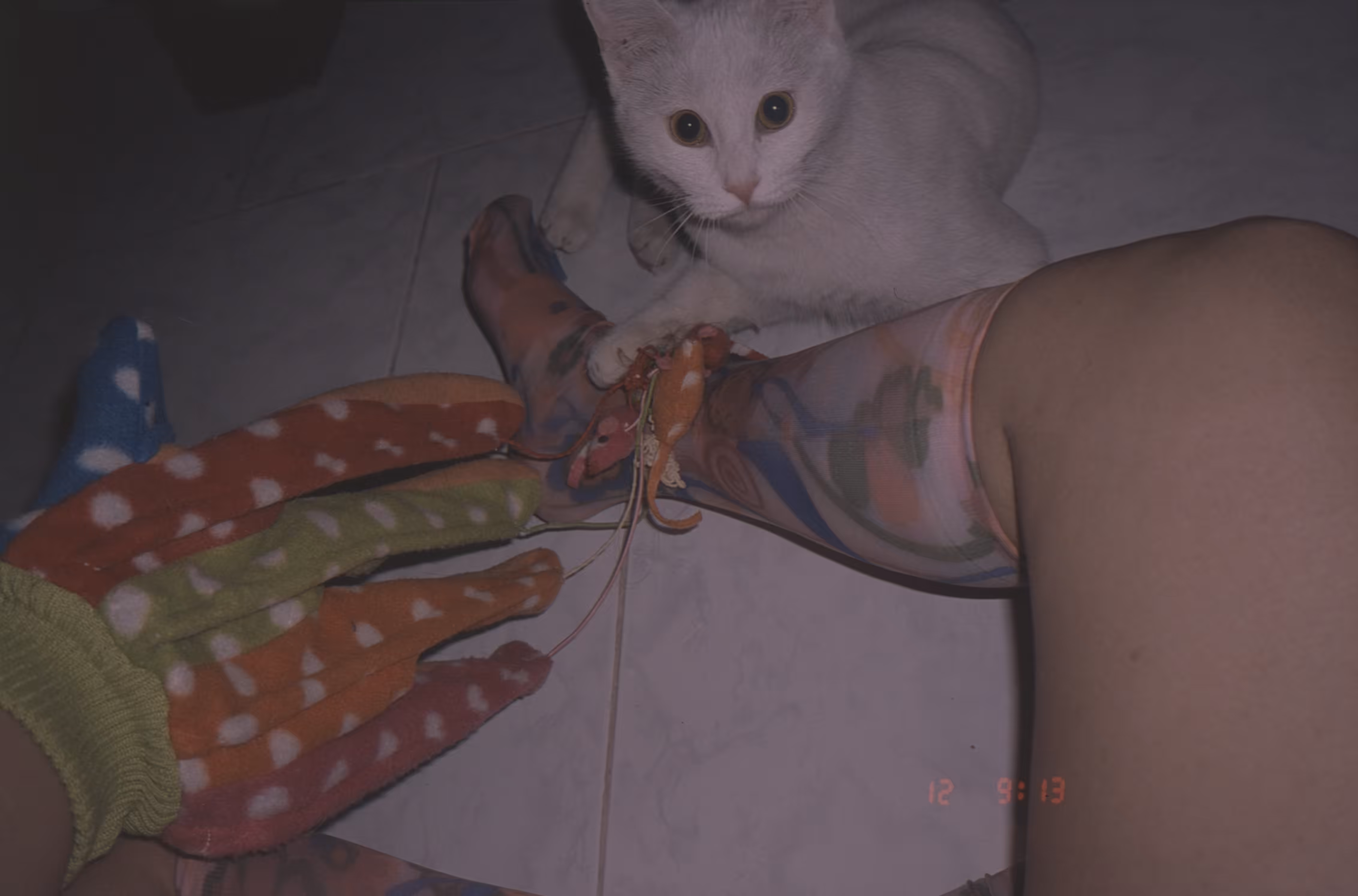 Hunter
