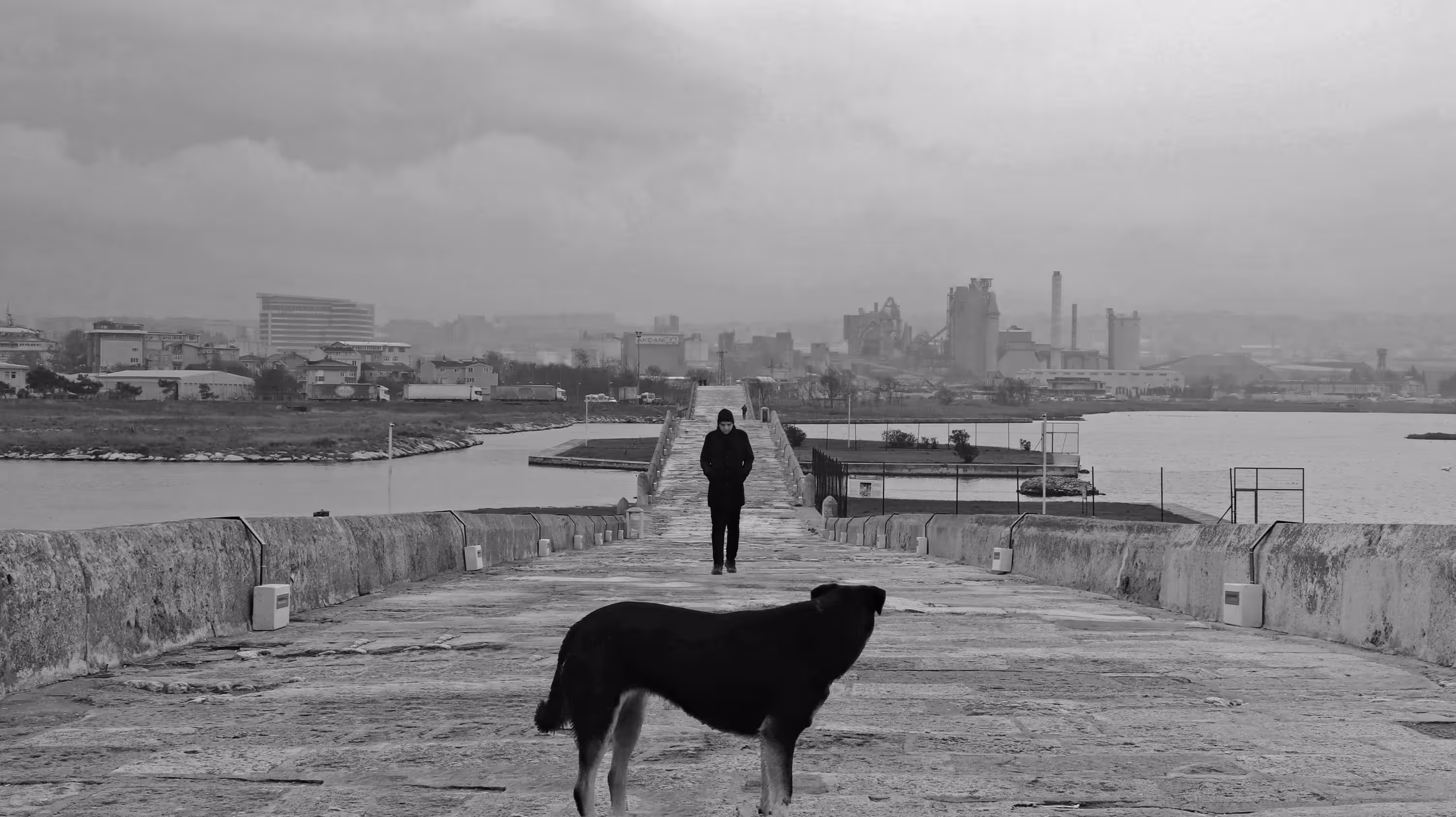 Meeting the Wolf
