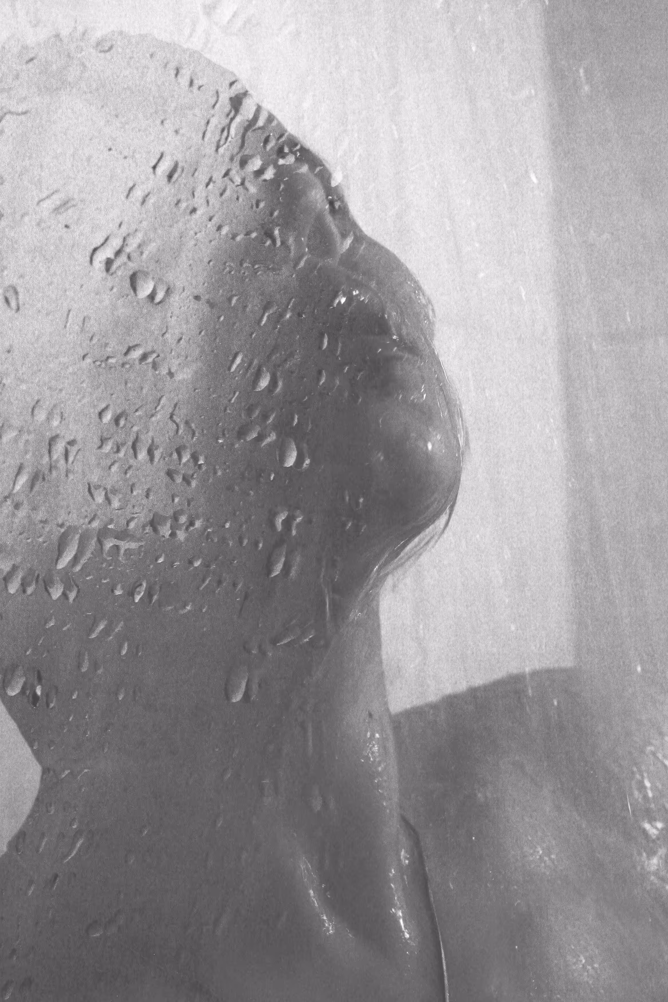 Embraces all
