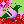 A Pigeon, bubbles, and cherry blossoms (sakura).