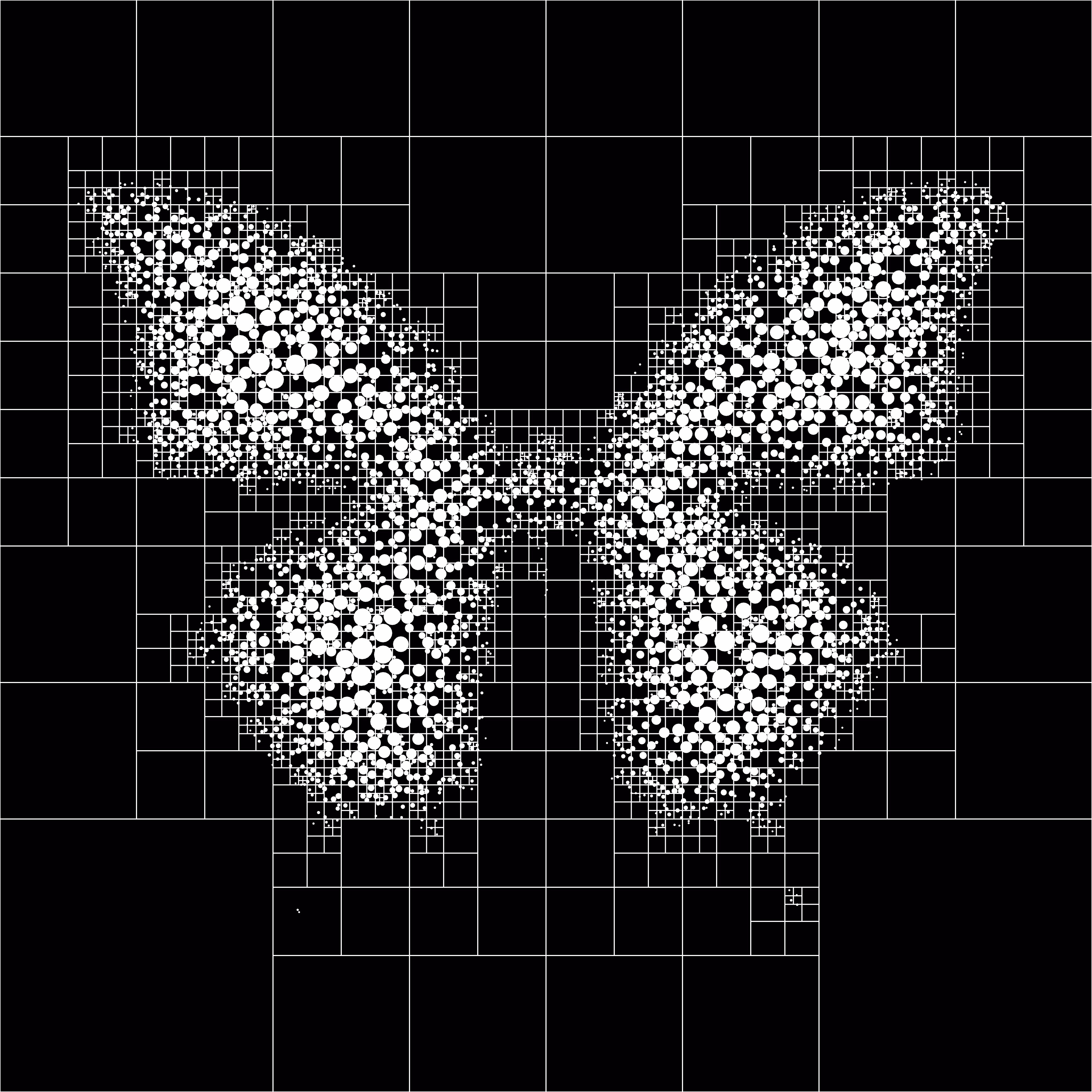 ALGO MOTH #2