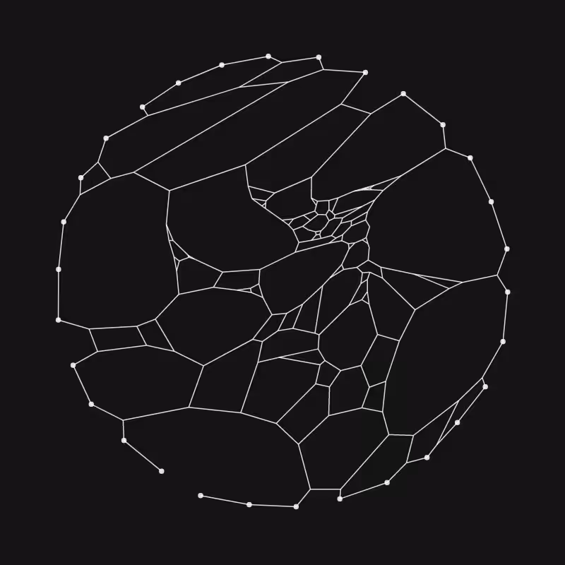 Elastic Web #49