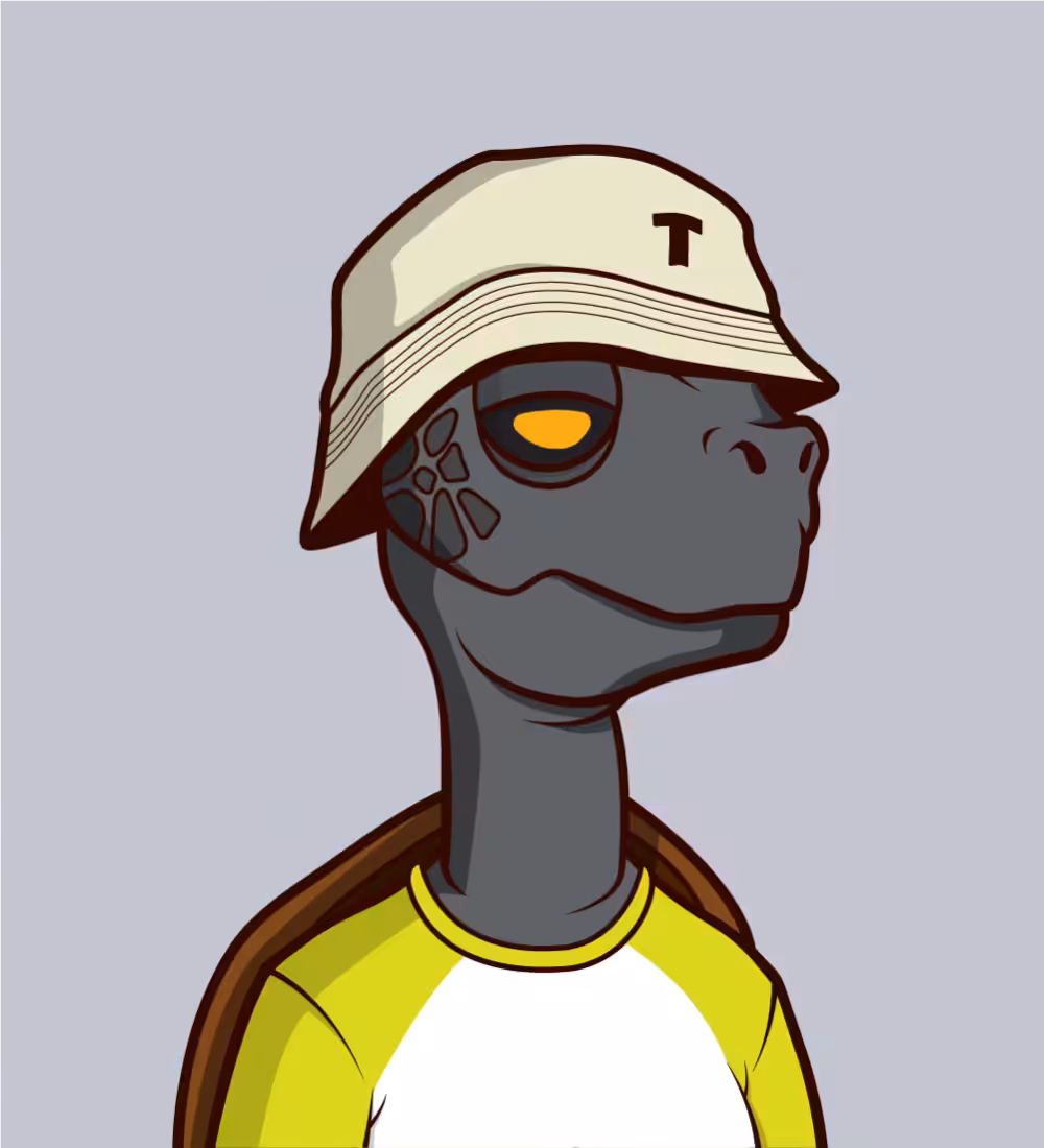 Tiny Turtle 62