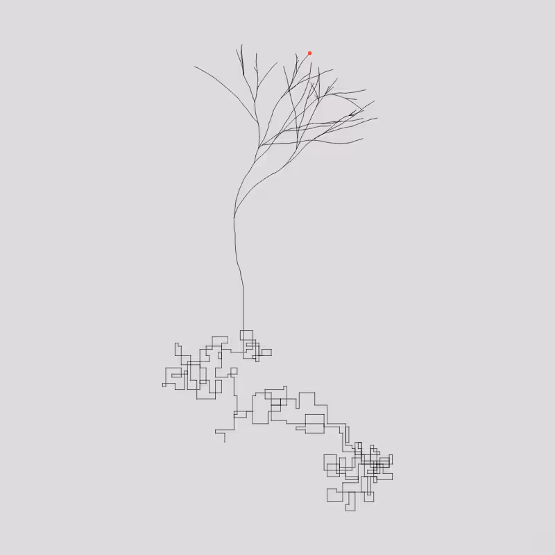 Algorithmic Tree #9