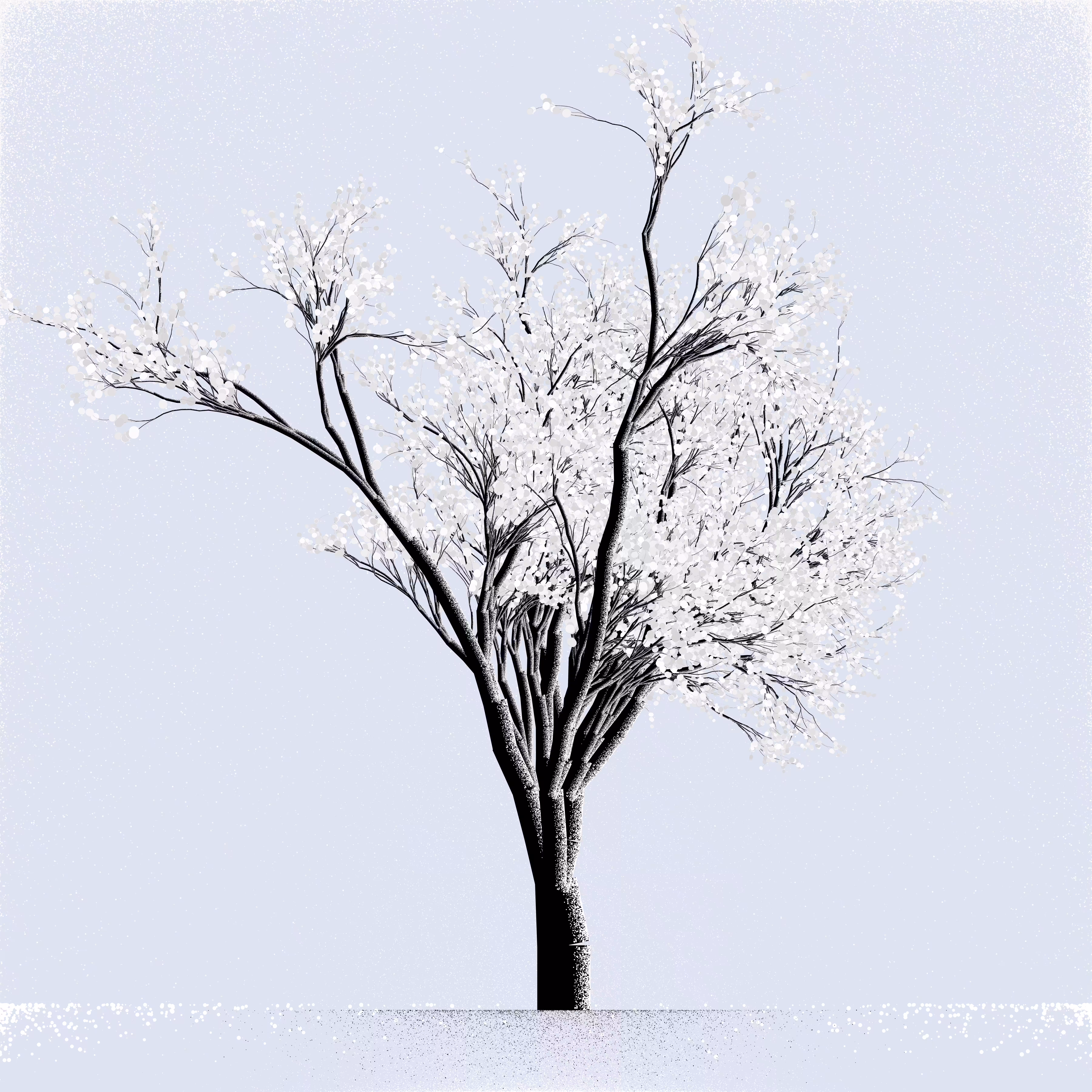 Snow Tree #32
