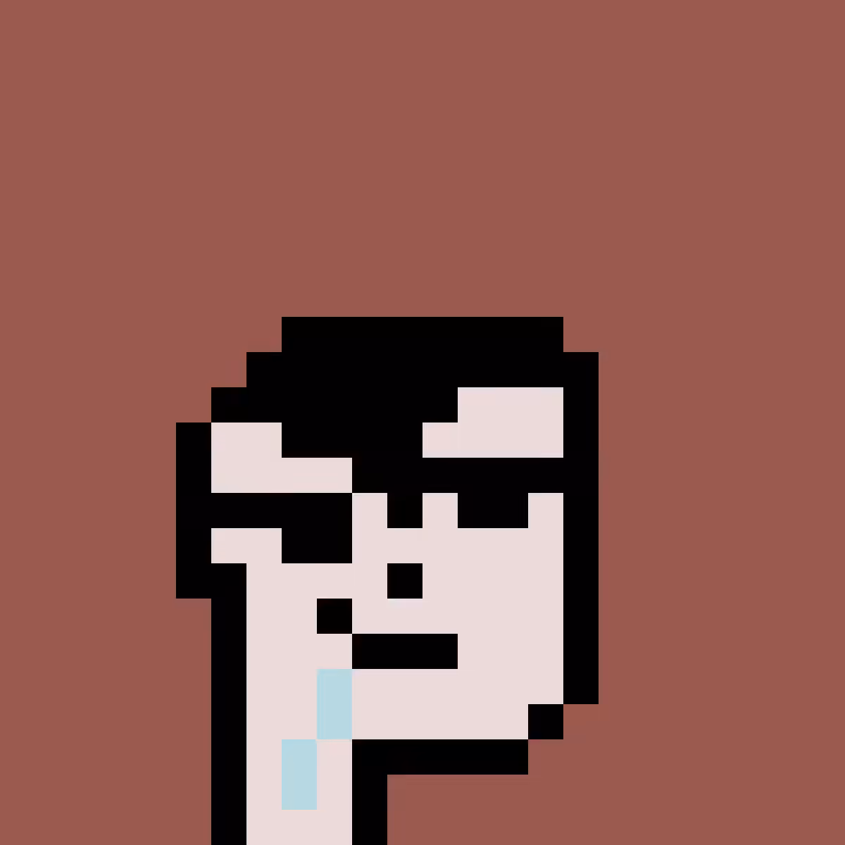 PNUKS #362