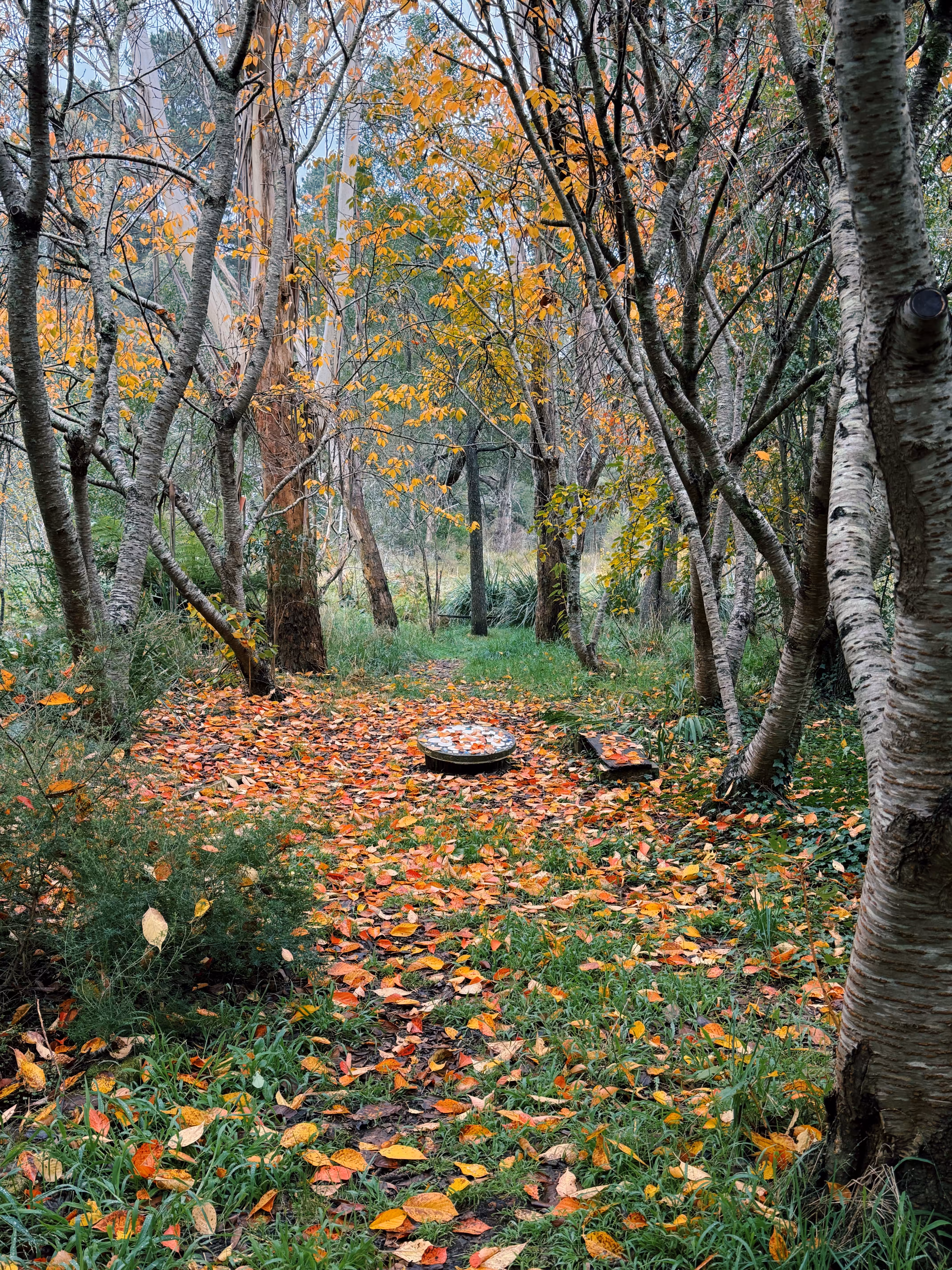 autumn