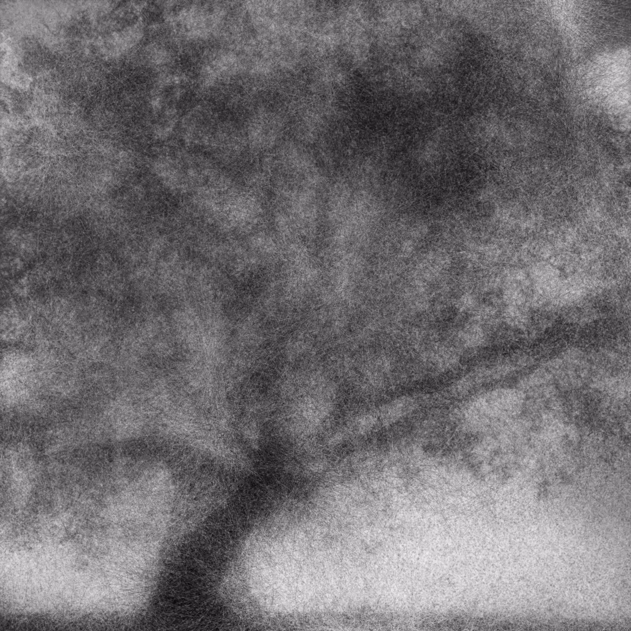 Ghost Stories of an Antiquary Reimagined: The Ash Tree