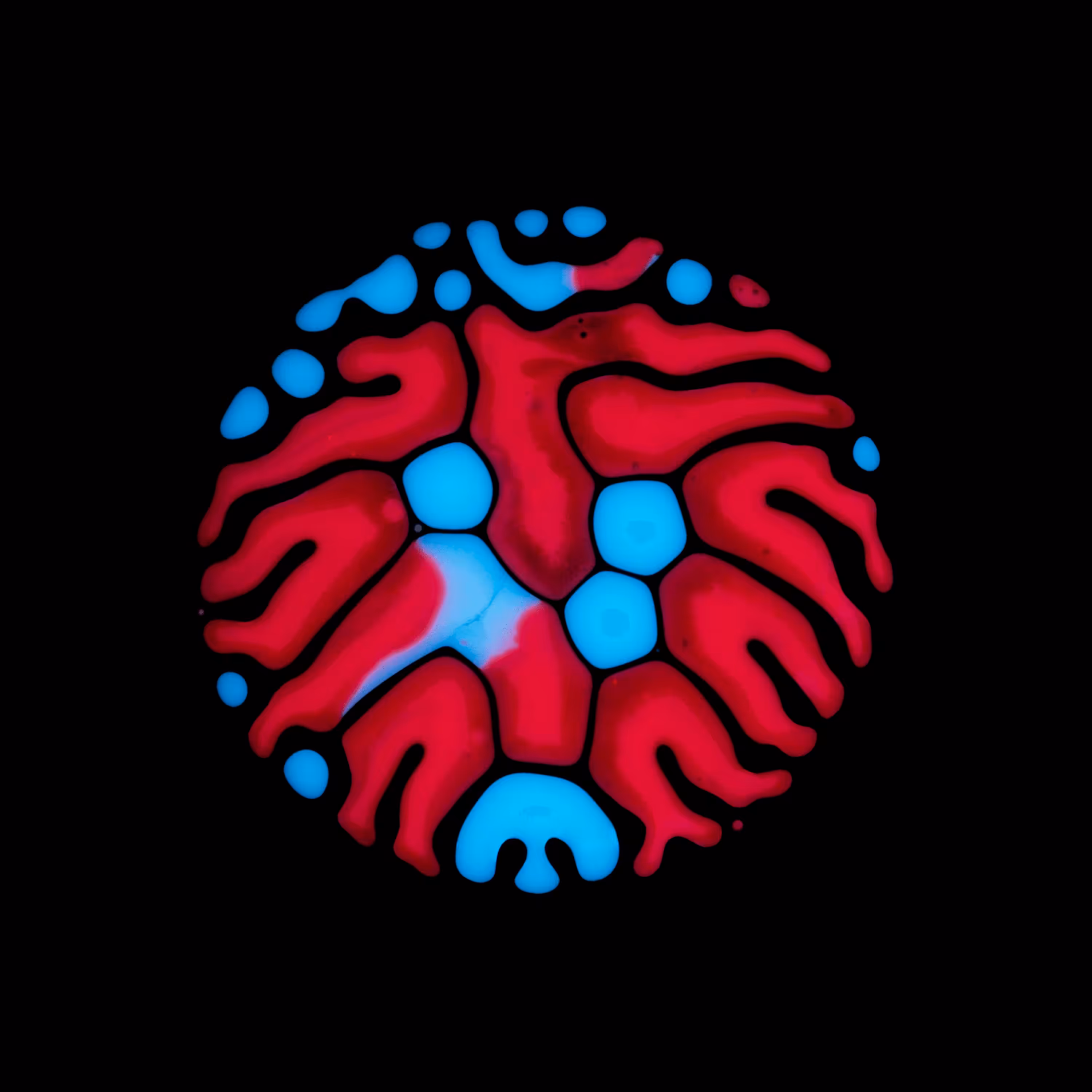 Haematopoiesis #9