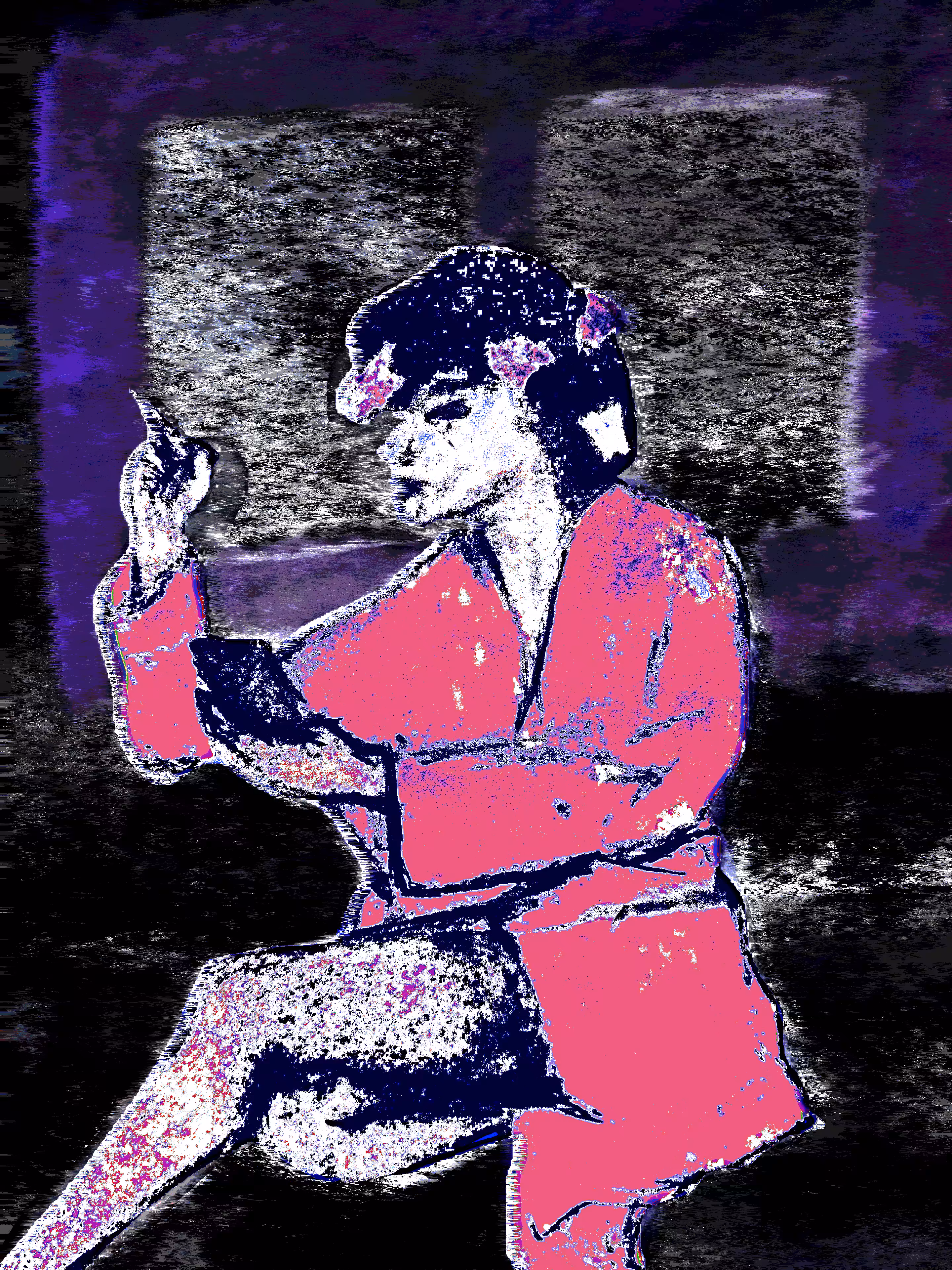 Modern Geisha