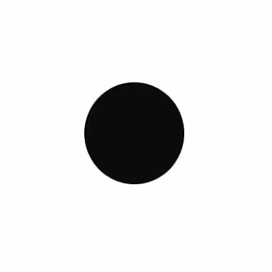 Inaugural Black Dot #1