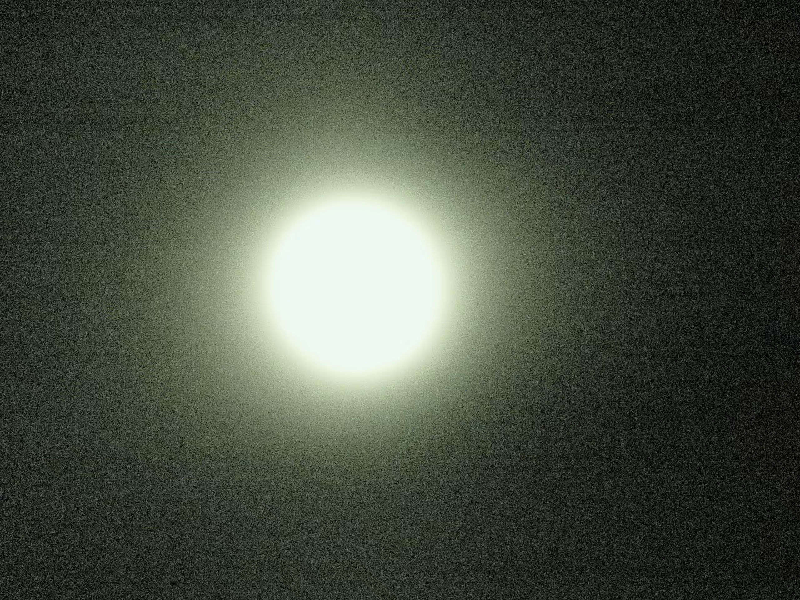 Super Flower Blood Moon [3]