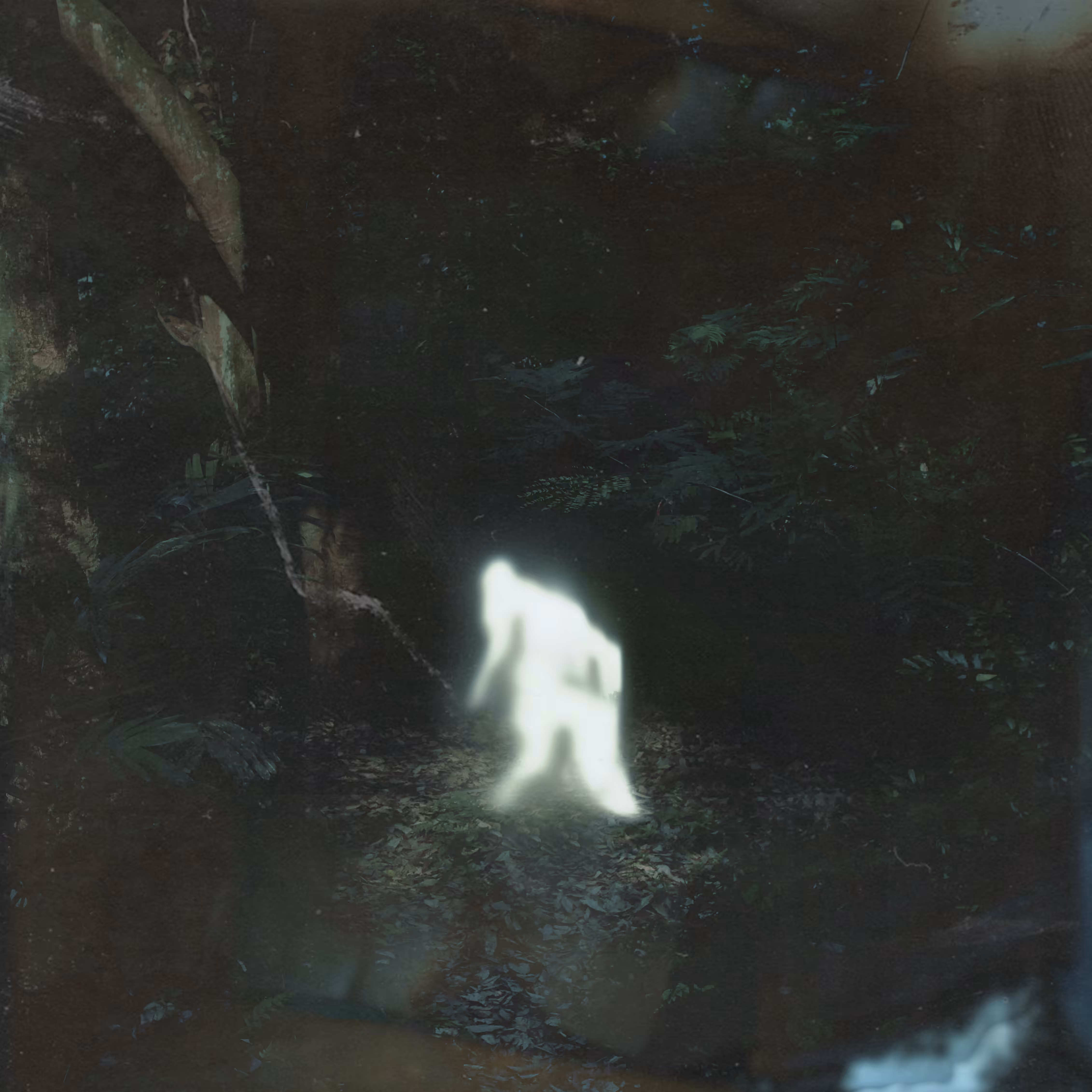 HIDE AND ASCEND 