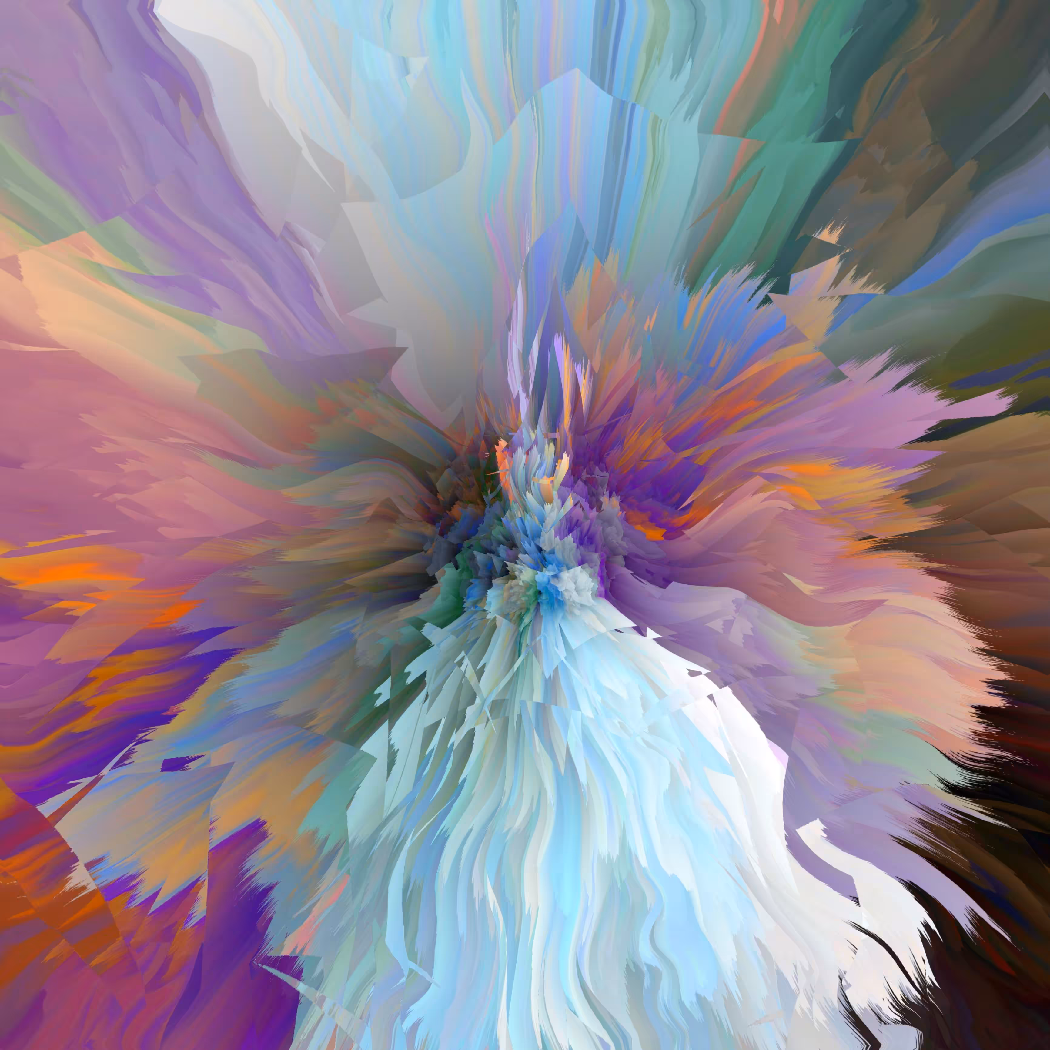 Carnation