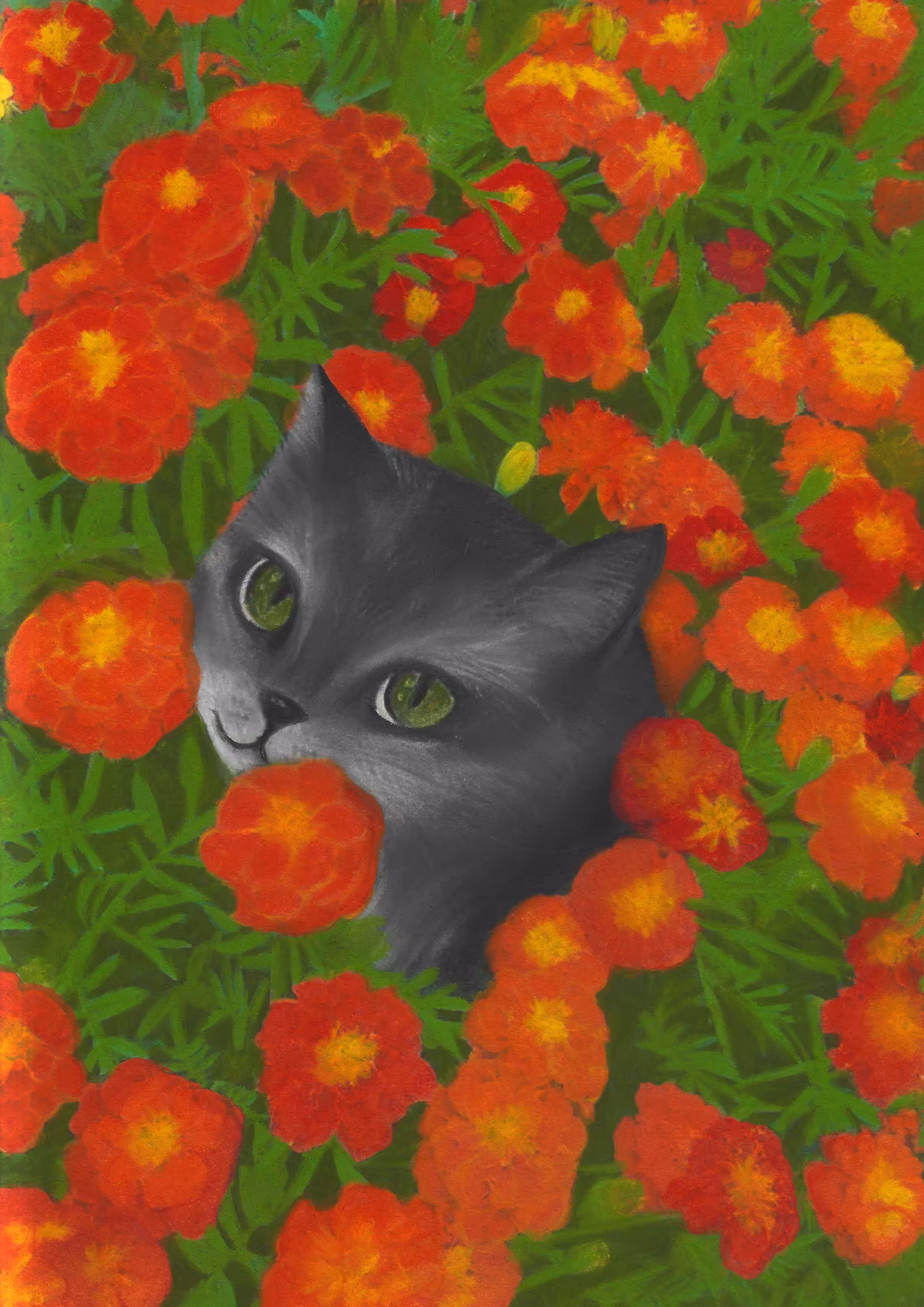 cats&another beautiful pets: Summer time 