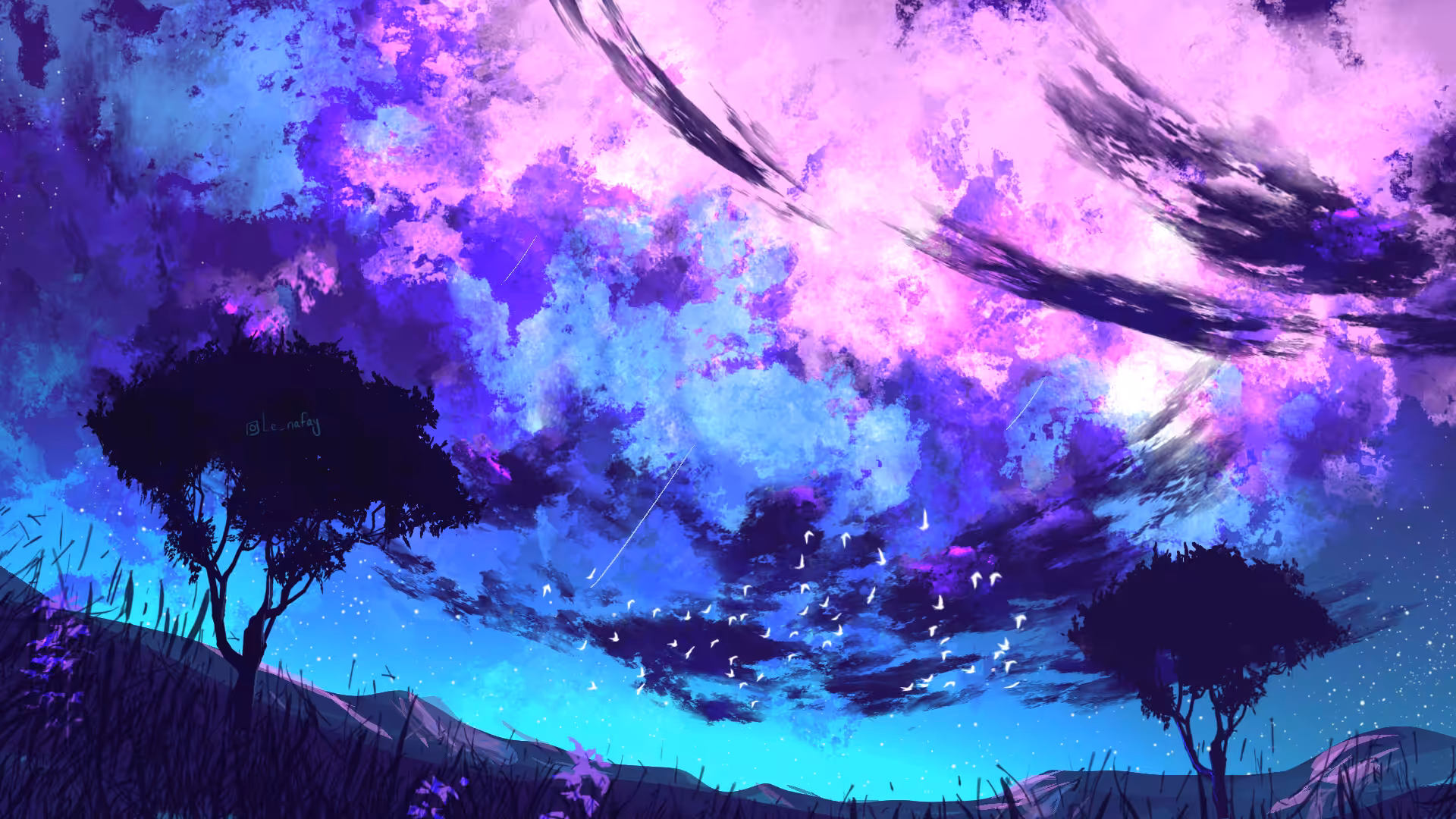 The Galaxy