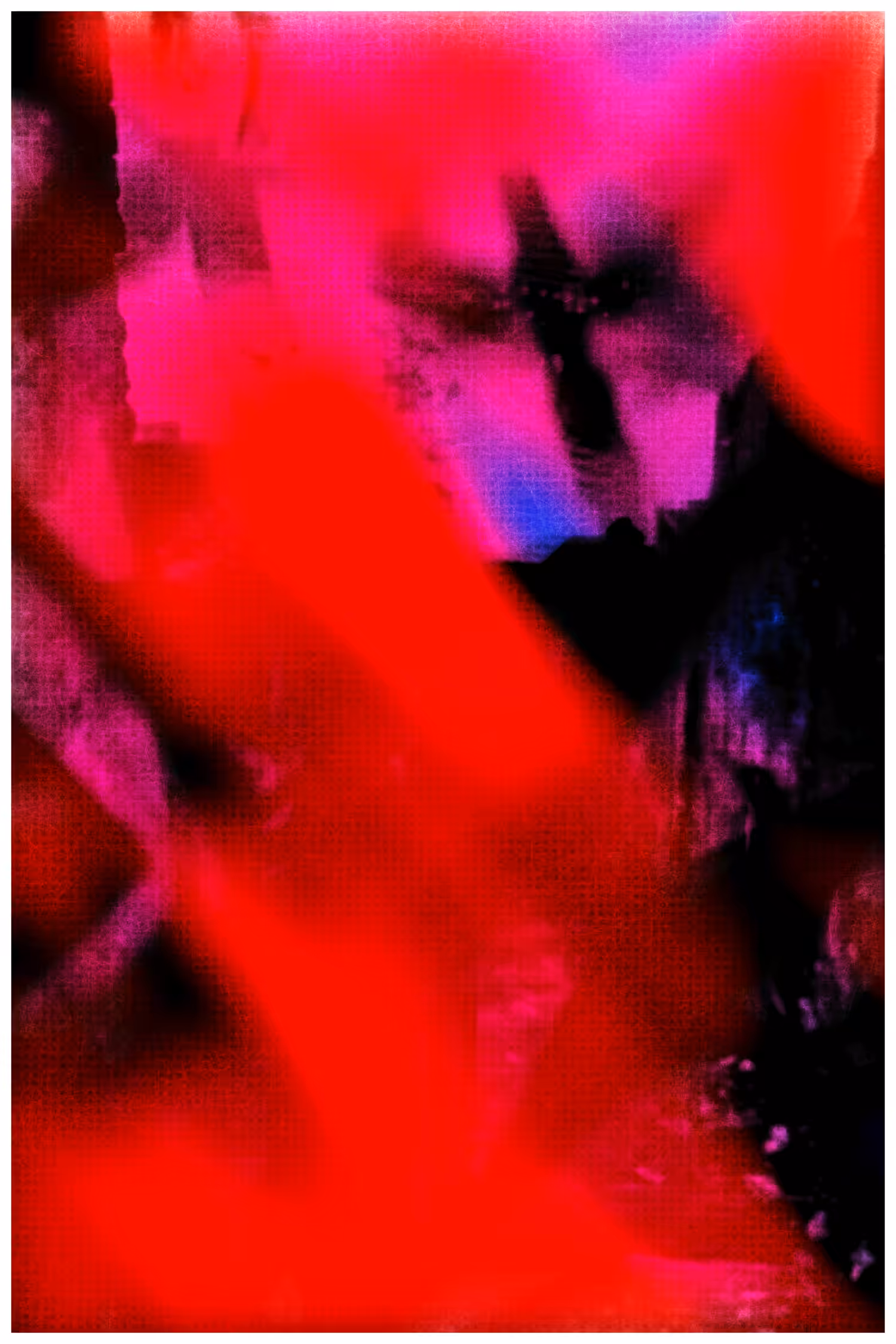 ANIMA #14