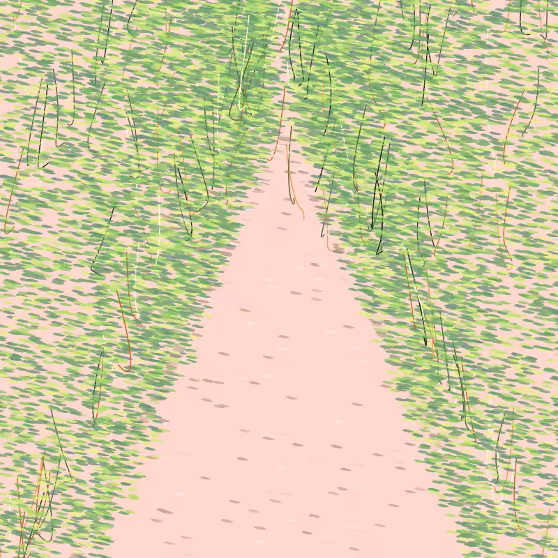 Forest path #8