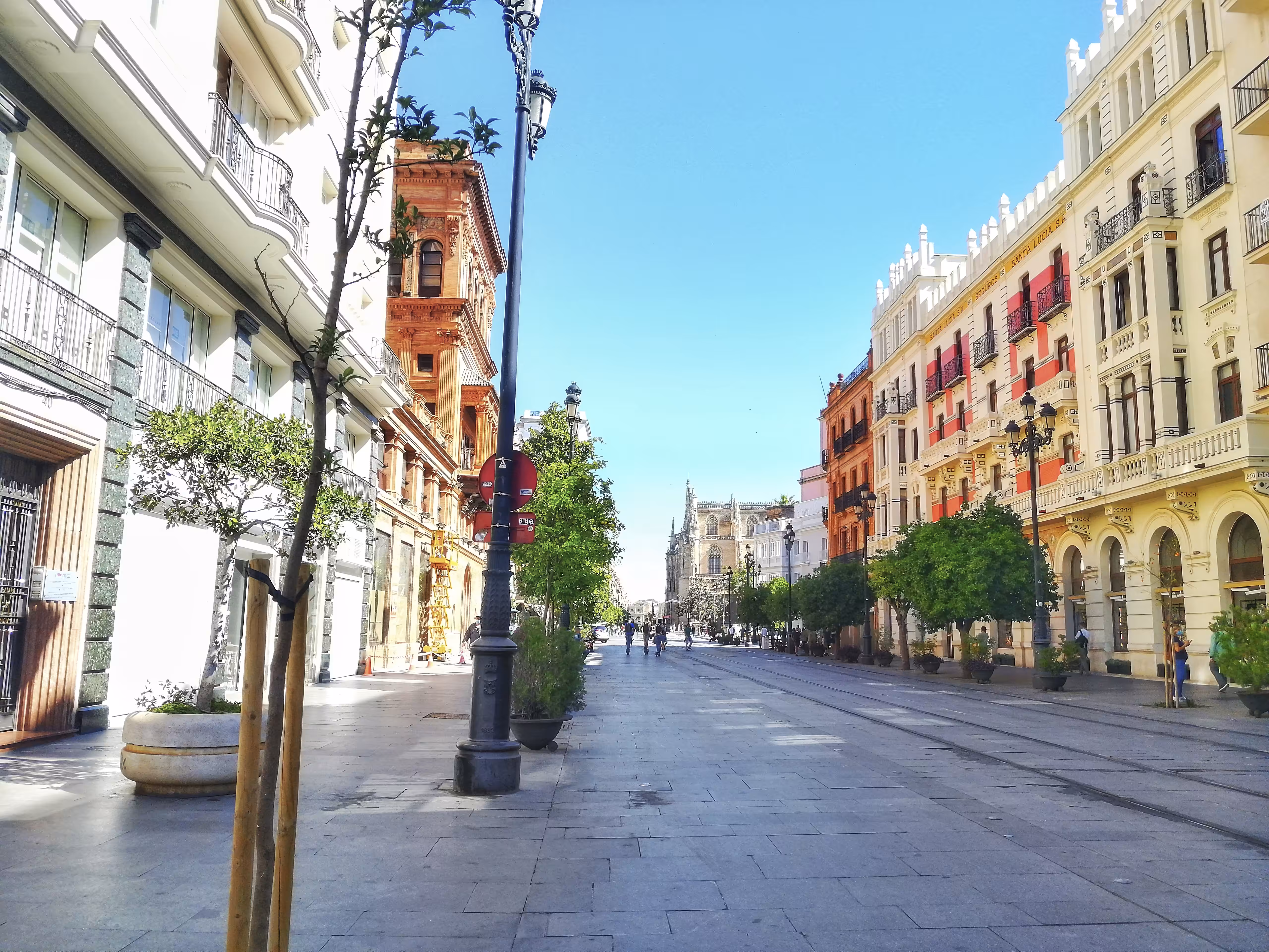 Avenida Celeste (Gold Edition) # 60/60