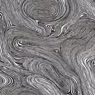 Liquid Zebra Pattern