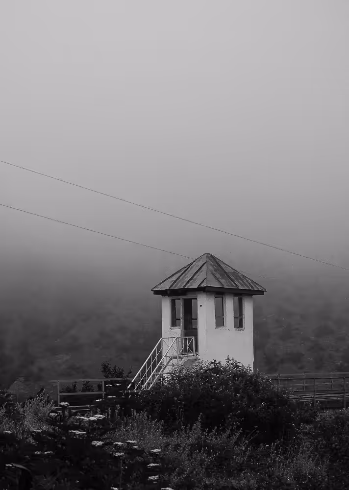 Landscape1