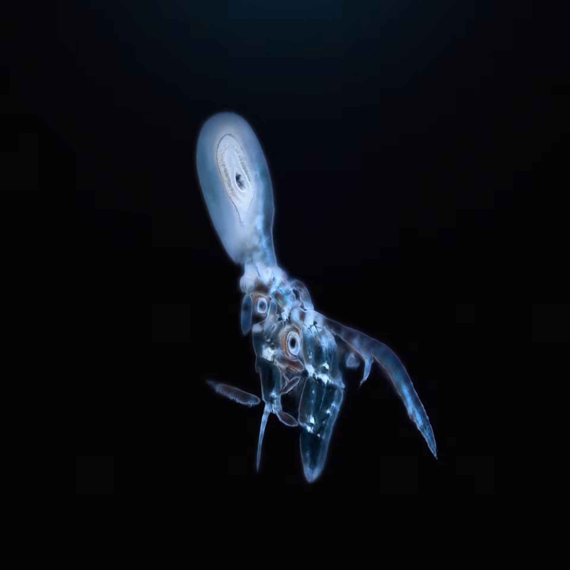 Sperma 23