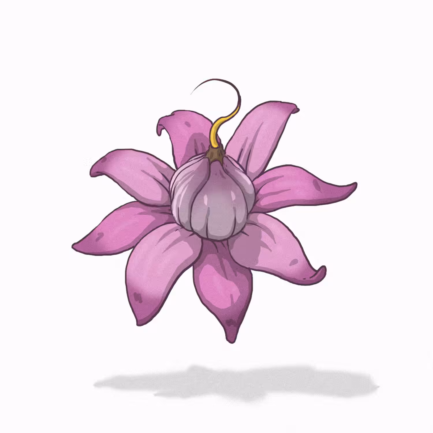 Mota Dura flower