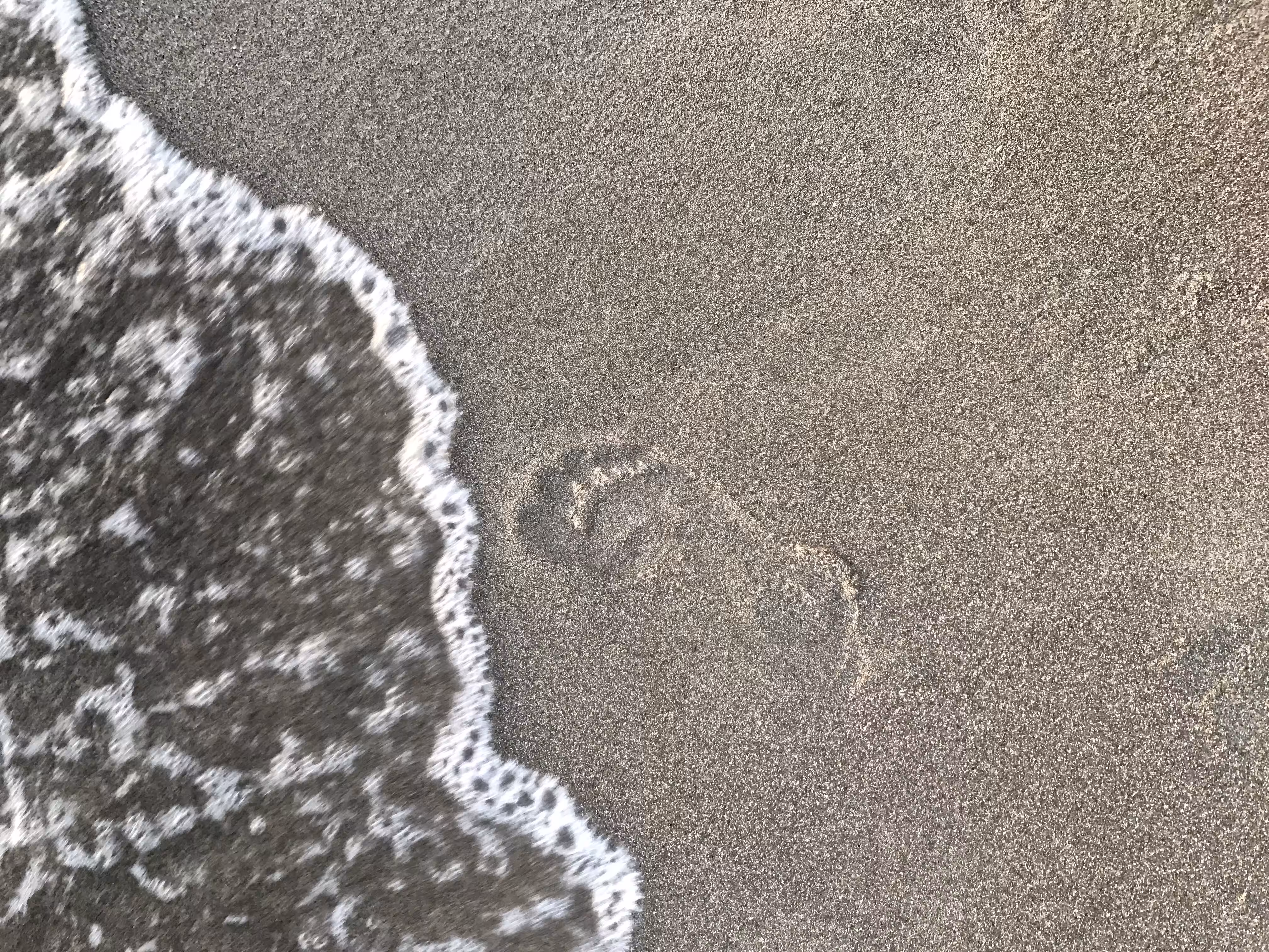 Leave Your Mark