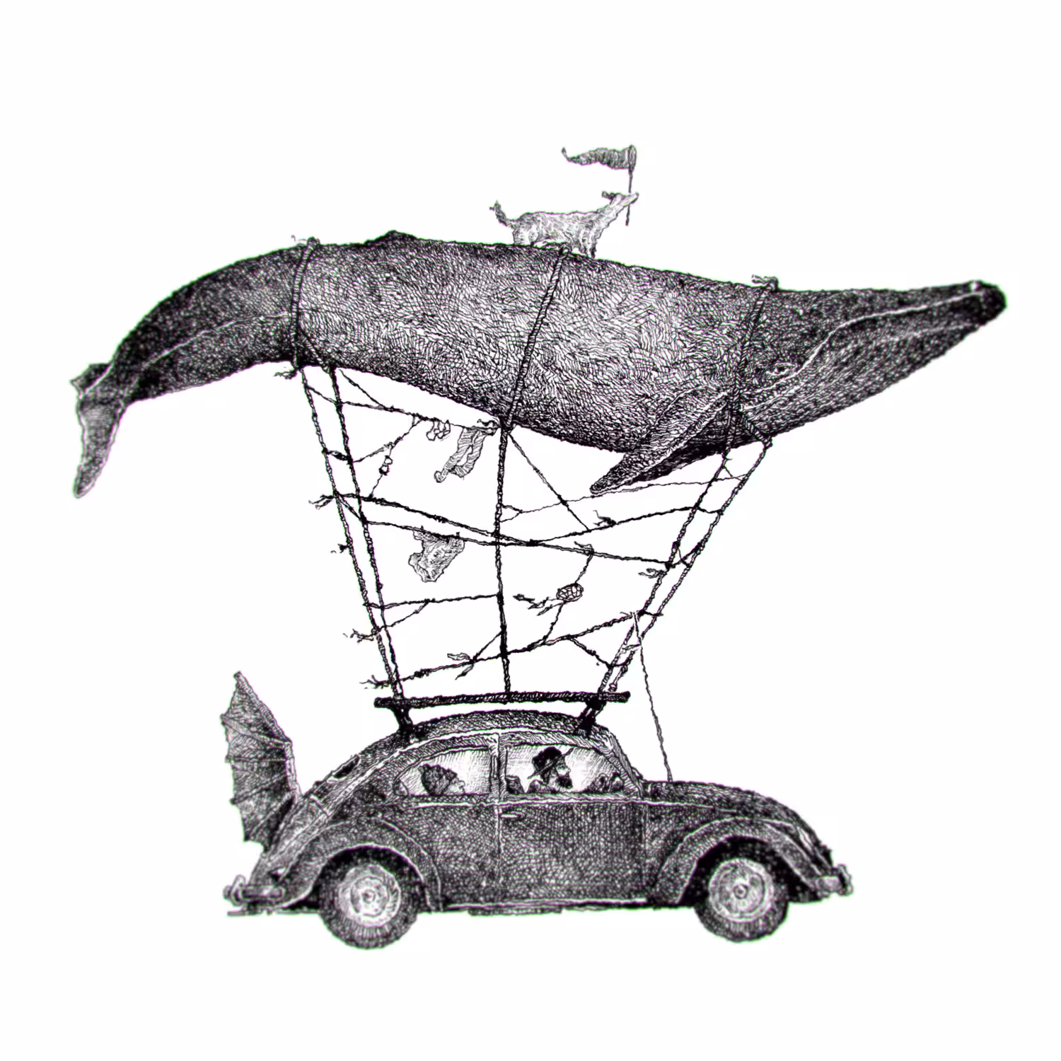 The Whale Travelers