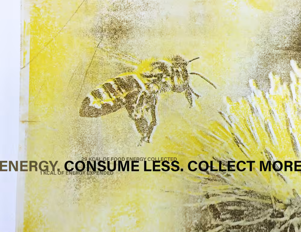 Bee like nature [Energy: Use Less. Collect More.]