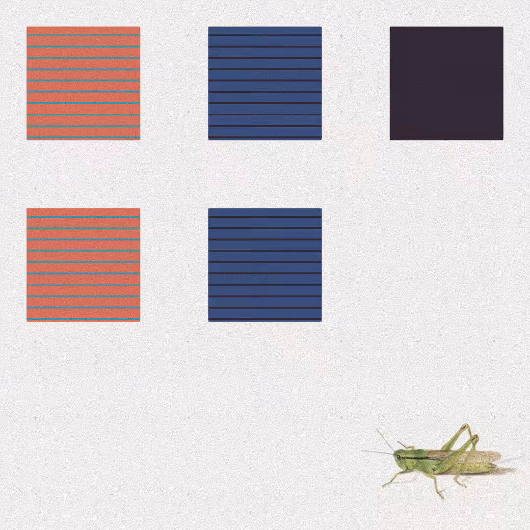 Grasshopper #61