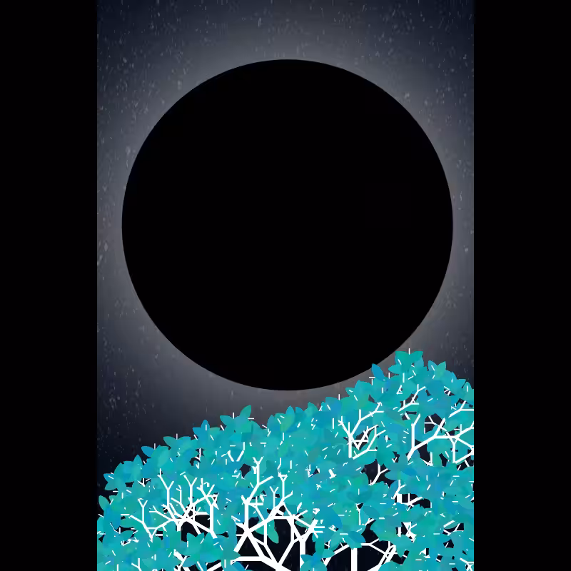 Moonlight Sonata #49