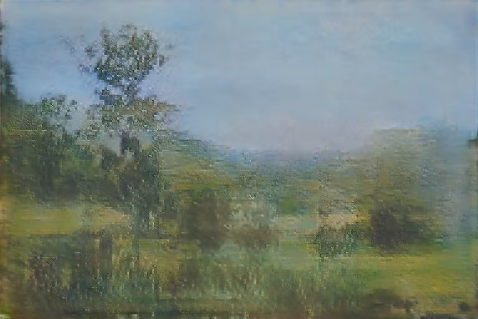 One Tree, Minding the Field