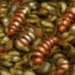 funbug.com (1999-2001) reimagined by Cosmographia, with Simon Denny and Guile Twardowski